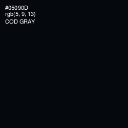 #05090D - Cod Gray Color Image